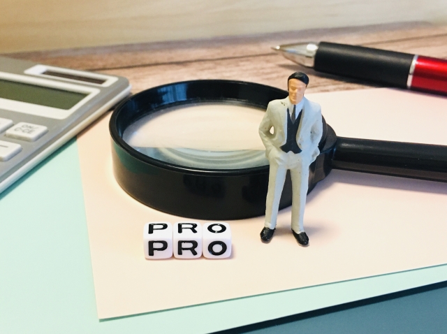 プロフェッショナル