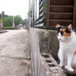 待ちくたびれる